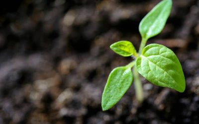Help your Nonprofit’s Board feel confident fundraising (3 simple strategies)